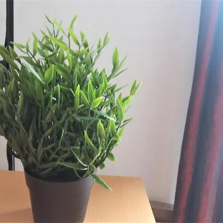 Entier Avec Balcon A Plein Sud. Апартаменты Париж